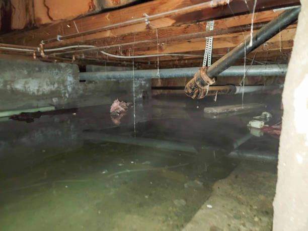 Reliable Southport, IN Water damage restoration Solutions