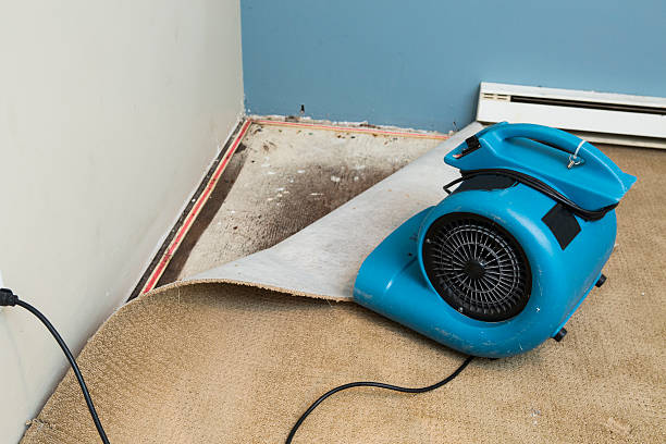 Best Sewage cleanup and water damage restoration  in Southport, IN
